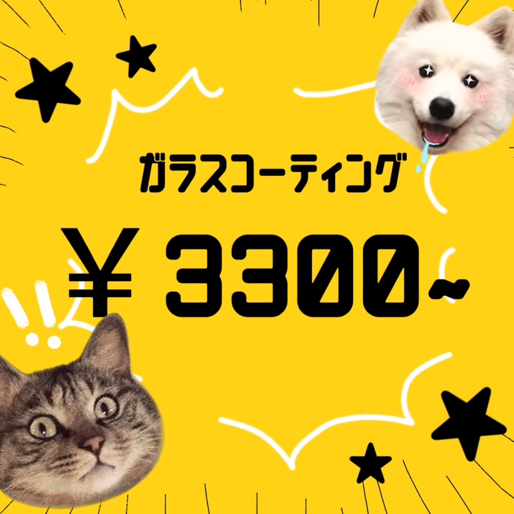 【都城駅前店】ガラスコーティング取扱店舗です【11月28日Open】