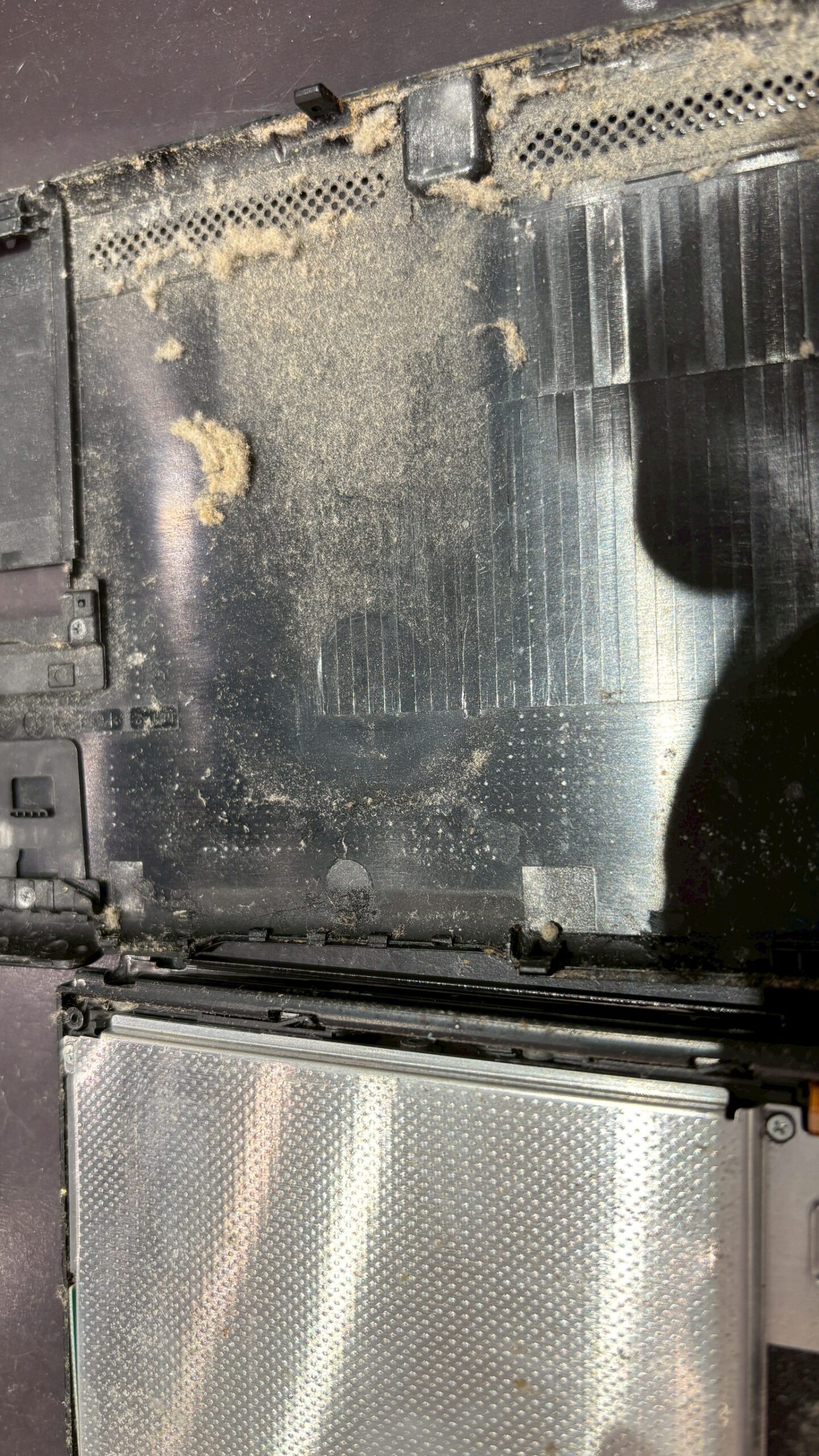 Switchメンテナンスの重要性